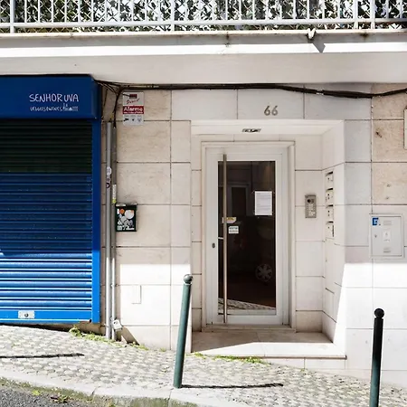Bright 2br Terrace In Estrela